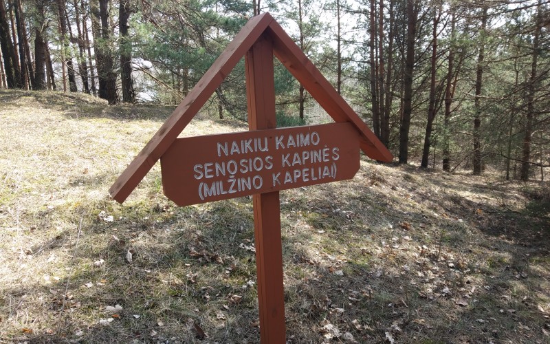 Galerija Žygelis pėsčiomis prie Naikių piliakalnio